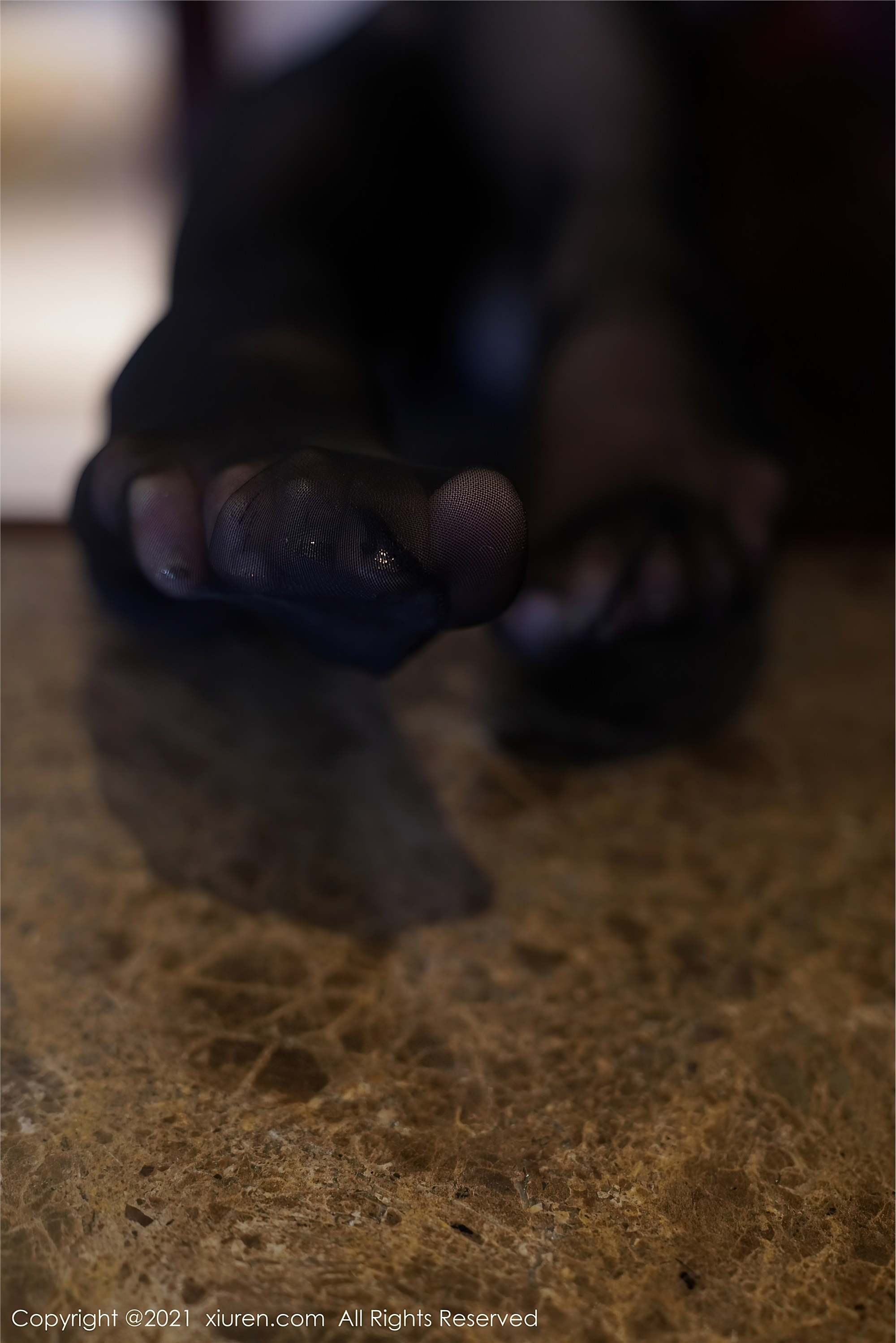 XiuRen秀人网  2021.03.16 No.3207 果儿Victoria